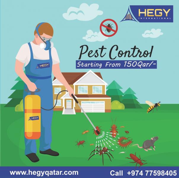 Qatar Pest Control Services for Warehouse & Store in Doha Qatar Services Other, Find